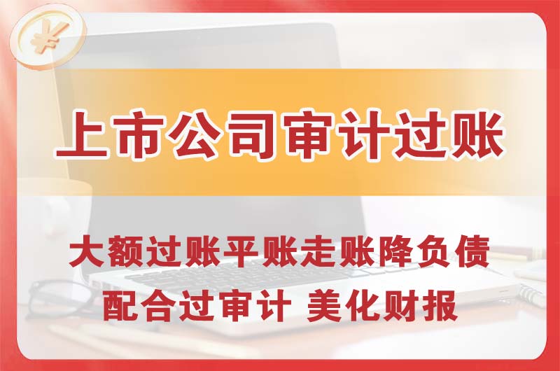 淮南上市公司审计过账